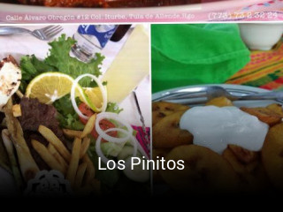 Los Pinitos