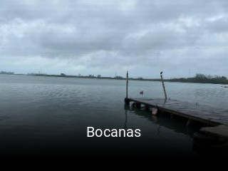 Bocanas