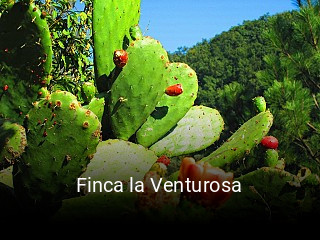 Finca la Venturosa