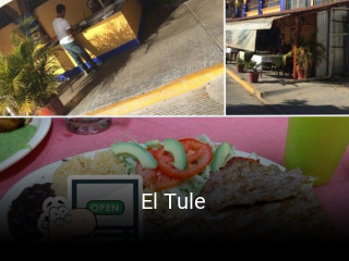 El Tule