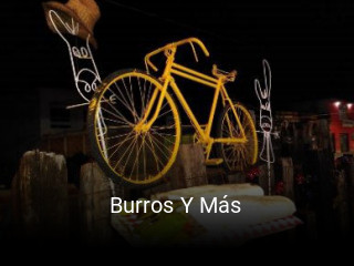 Burros Y Más