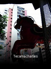 Tecamacharlies