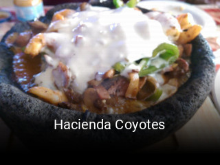 Hacienda Coyotes