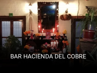 BAR HACIENDA DEL COBRE