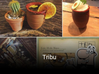 Tribu