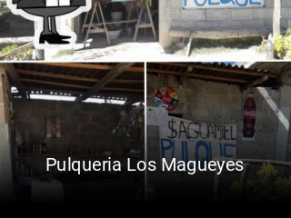 Pulqueria Los Magueyes