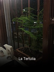 La Tertulia