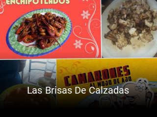 Las Brisas De Calzadas