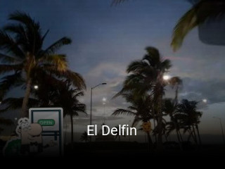 El Delfin