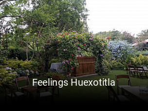 Feelings Huexotitla