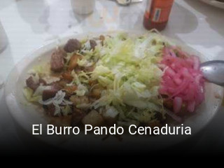 El Burro Pando Cenaduria