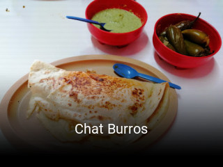 Chat Burros