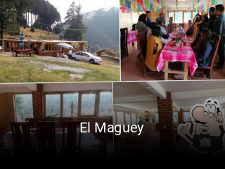 El Maguey