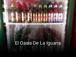 El Oasis De La Iguana