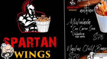 Spartan Wings